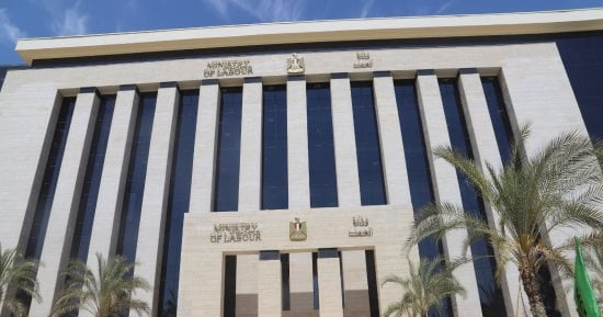 آخر فرصة للتقديم.. فرص عمل موسمية فى إسبانيا بالقطاع الزراعى براتب 64 ألف جنيه