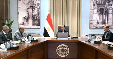 مدبولى يتابع إجراءات توفير التمويل المطلوب لمشروعات الطاقة الجديدة والمتجددة