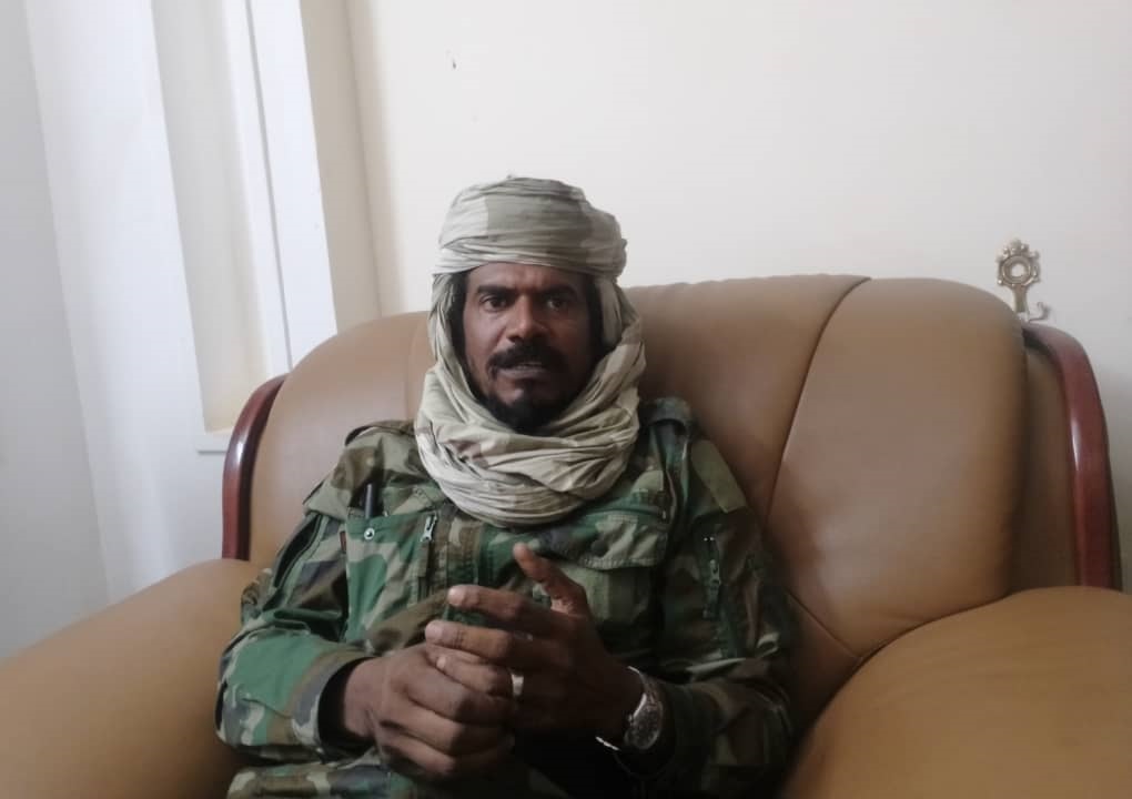 السافنا يحذر من تقسيم السودان: معركة الجيش القادمة في دارفور