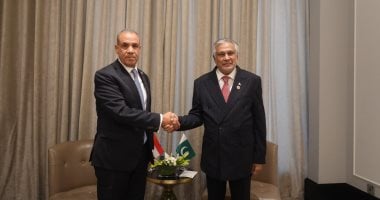 وزير الخارجية يبحث مع نظيره الباكستانى دعم مسار المفاوضات بين أمريكا وإيران