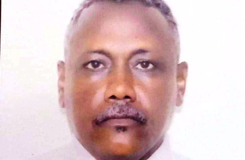 السودانوية ومدرسة الغابة والصحراء